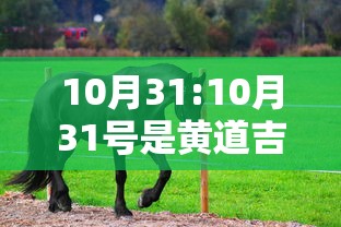 10月31:10月31号是黄道吉日吗