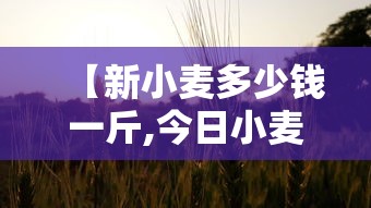 【新小麦多少钱一斤,今日小麦下乡收购价格】 【新小麦多少钱一斤,今日小麦下乡收购价格】