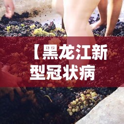 【黑龙江新型冠状病毒/黑龙江新型肺炎】