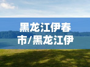 黑龙江伊春市/黑龙江伊春市邮编