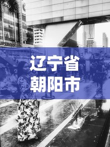 辽宁省朝阳市疫情最新消息（辽宁省朝阳市肺炎疫情）