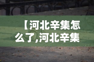 【河北辛集怎么了,河北辛集原来叫什么】