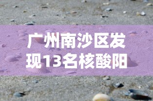 广州南沙区发现13名核酸阳性:广州南沙区发现13名核酸阳性人员