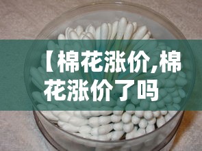 【棉花涨价,棉花涨价了吗】