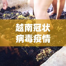 越南冠状病毒疫情（越南新冠疫情实时动态）