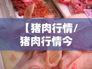 【猪肉行情/猪肉行情今日猪价】