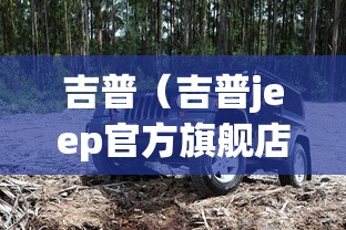 吉普（吉普jeep官方旗舰店）