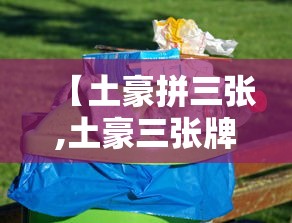 【土豪拼三张,土豪三张牌】