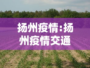 扬州疫情:扬州疫情交通管制