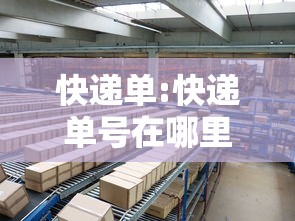 快递单:快递单号在哪里查询