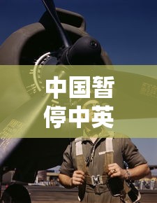 中国暂停中英间往返航班/停飞中英航班