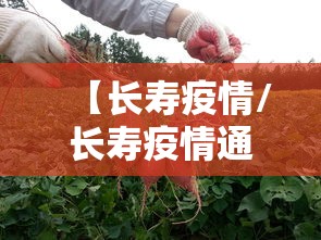 【长寿疫情/长寿疫情通报】 【长寿疫情/长寿疫情通报】