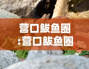 营口鲅鱼圈:营口鲅鱼圈温泉民宿哪家好