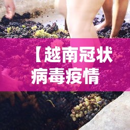 【越南冠状病毒疫情/越南新冠疫情实时动态】 【越南冠状病毒疫情/越南新冠疫情实时动态】