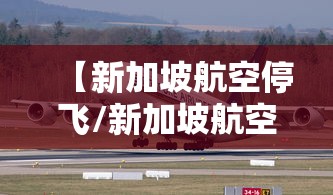 【新加坡航空停飞/新加坡航空停飞最新消息】