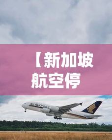 【新加坡航空停飞/新加坡航空停飞最新消息】