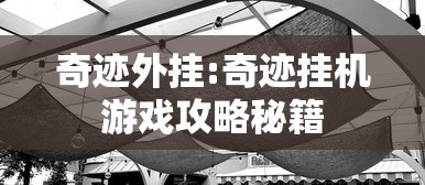 奇迹外挂:奇迹挂机游戏攻略秘籍 奇迹外挂:奇迹挂机游戏攻略秘籍