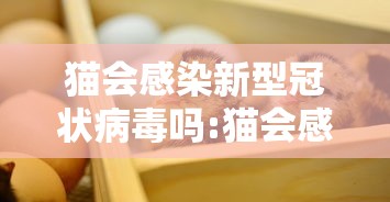 猫会感染新型冠状病毒吗:猫会感染新冠病毒么