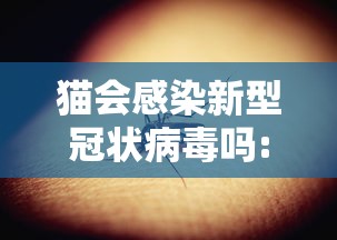猫会感染新型冠状病毒吗:猫会感染新冠病毒么 猫会感染新型冠状病毒吗:猫会感染新冠病毒么