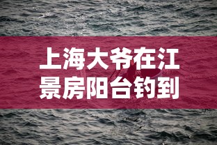 上海大爷在江景房阳台钓到8斤大鱼/上海大爷在江景房阳台钓到8斤大鱼是谁 上海大爷在江景房阳台钓到8斤大鱼/上海大爷在江景房阳台钓到8斤大鱼是谁