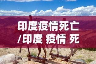 印度疫情死亡/印度 疫情 死亡
