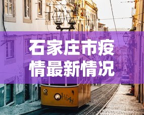 石家庄市疫情最新情况/石家庄市最新疫情名单