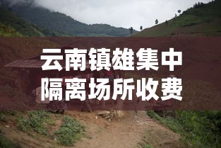 云南镇雄集中隔离场所收费/云南隔离多少钱一天