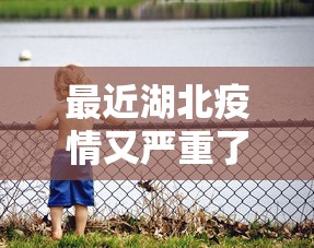 最近湖北疫情又严重了:最近湖北新冠肺炎消息
