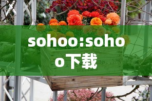 sohoo:sohoo下载