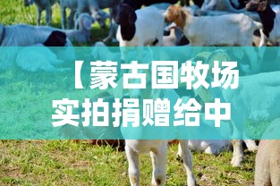 【蒙古国牧场实拍捐赠给中国的羊,蒙古国捐赠羊仪式】 【蒙古国牧场实拍捐赠给中国的羊,蒙古国捐赠羊仪式】