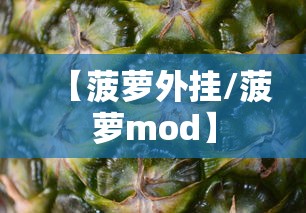 【菠萝外挂/菠萝mod】