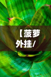 【菠萝外挂/菠萝mod】
