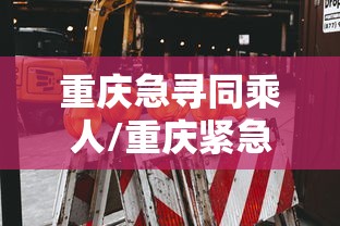 重庆急寻同乘人/重庆紧急寻找乘客
