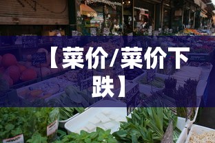 【菜价/菜价下跌】