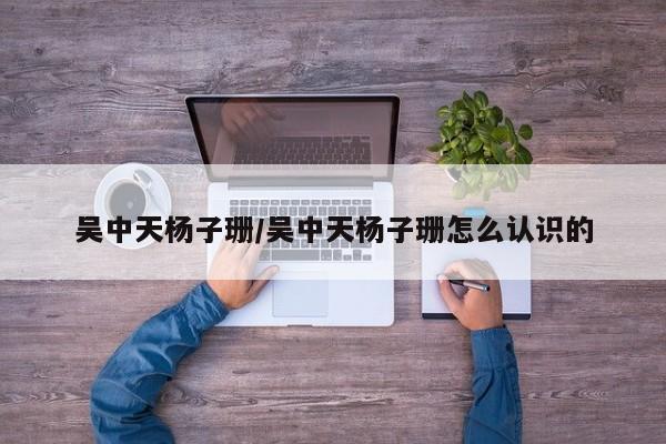 吴中天杨子珊/吴中天杨子珊怎么认识的