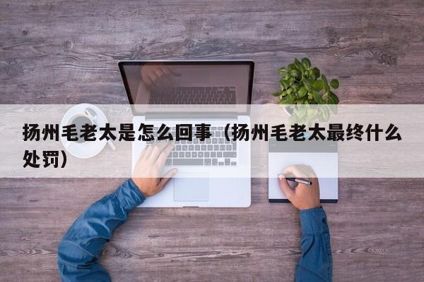 扬州毛老太是怎么回事(扬州毛老太最终什么处罚)