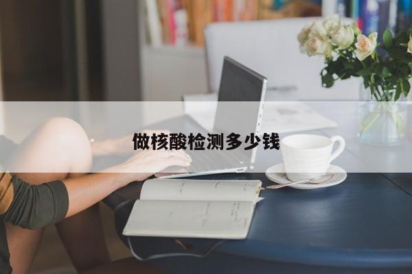 做核酸检测多少钱