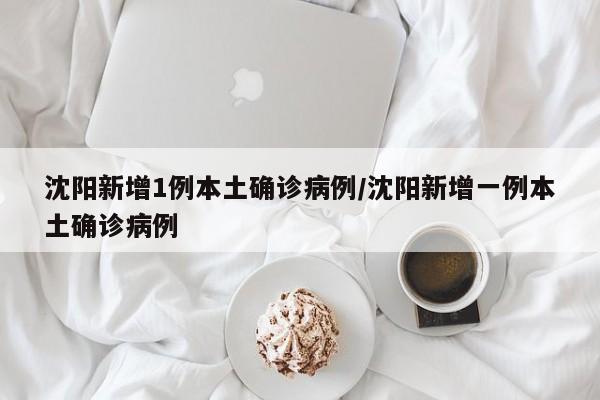 沈阳新增1例本土确诊病例/沈阳新增一例本土确诊病例
