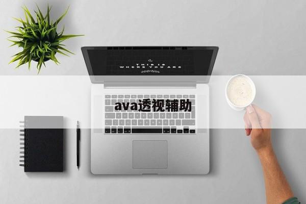 ava透视辅助